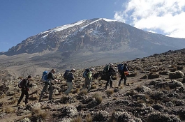 Mt Kilimanjaro Climb Lemosho Route