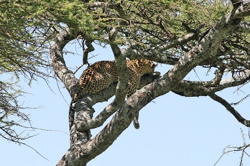 Lake Manyara and Ngorongoro Crater