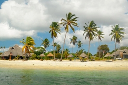 Mafia Island Honeymooners Special Safari