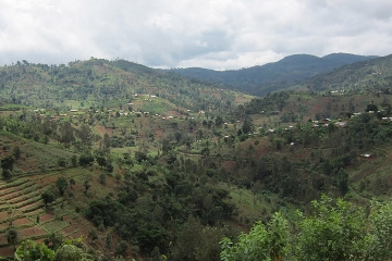 Mazumbai Forest Reserve Tour