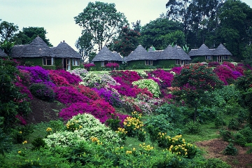 Lake Duluti Serena Hotel (formerly Serena Mountain Village — Arusha)