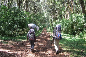 Kilimanjaro Climb Umbwe Route